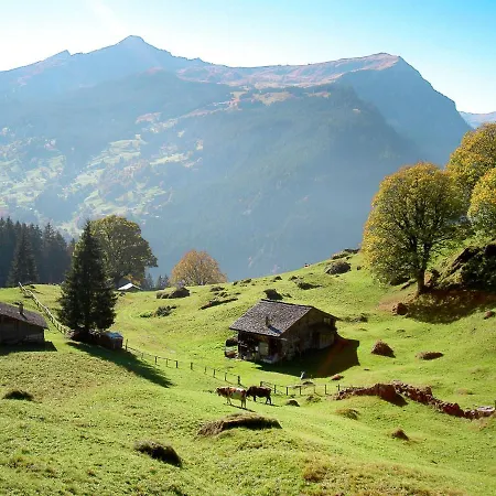 Cortina By Interhome Apartamento