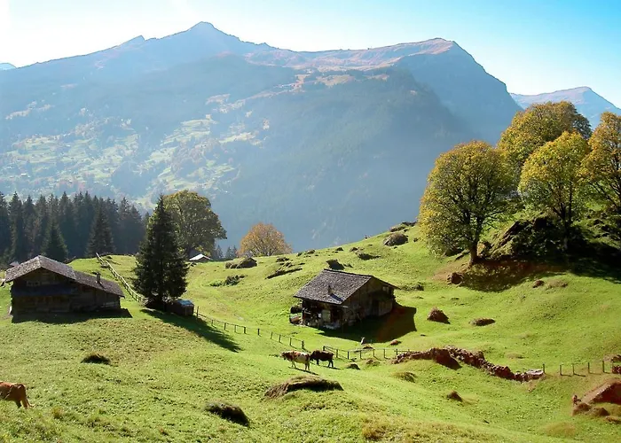 Cortina By Interhome Apartament