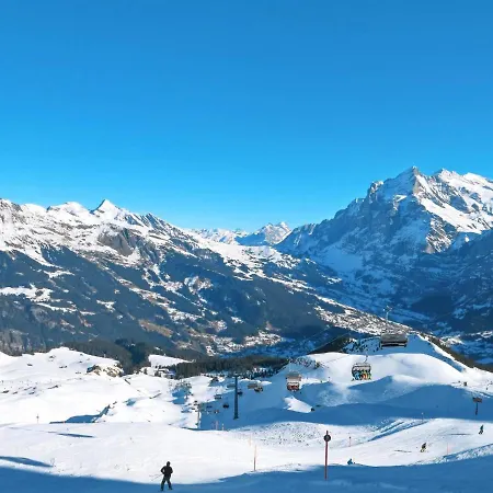 Cortina By Interhome * Grindelwald